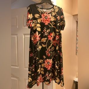 LulaRoe dress